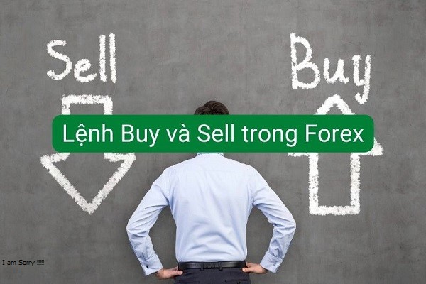 Buy and Sell và những đặc điểm trên thị trường Forex