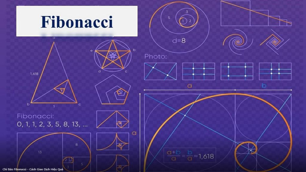 Dãy Fibonacci là gì? Cách dùng dãy số Fibonacci trong Forex