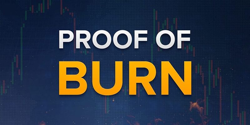 Một số đồng tiền sử dụng Proof-of-Burn (PoB) làm cơ chế đồng thuận trên mạng
