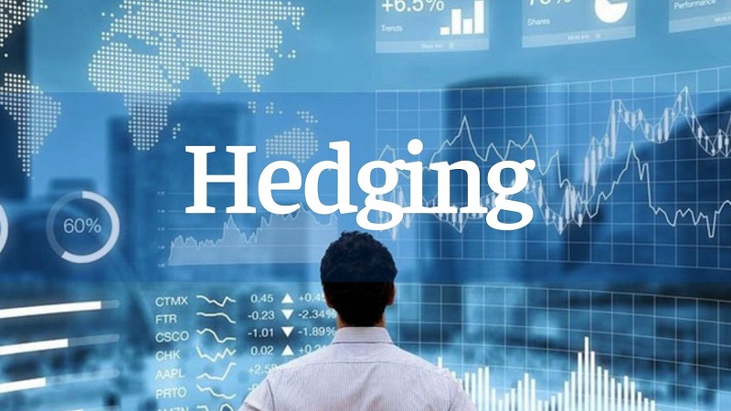 Hedge đóng vai trò là bảo hiểm, giúp giảm thiểu rủi ro xuống mức thấp nhất cho các nhà đầu tư khi tình trạng xấu xảy ra