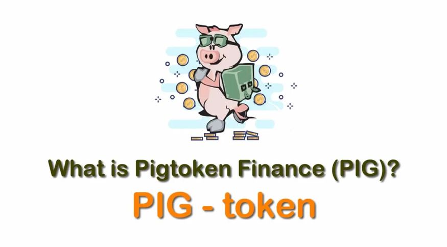 PIG coin là gì?