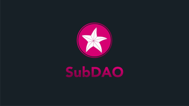 Những người nắm giữ token trong SubDAO sẽ trở thành công dân chính thức của trò chơi