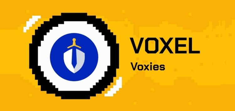 Voxies (Voxel) là gì?