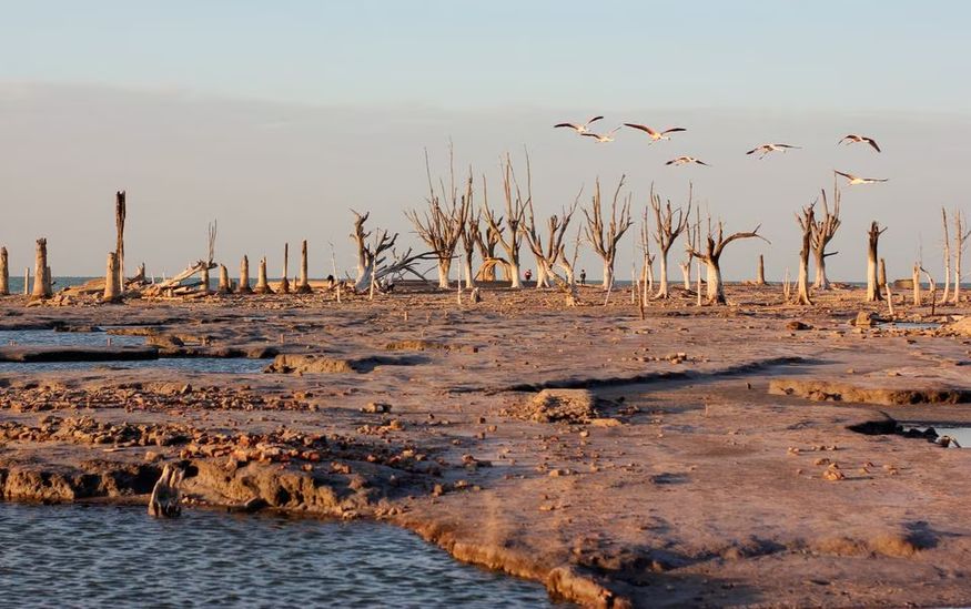 Đợt hạn hán kéo dài ảnh hưởng đến đầm phá Mar Chiquita, ở Cordoba, Argentina ngày 20 tháng 2 năm 2023