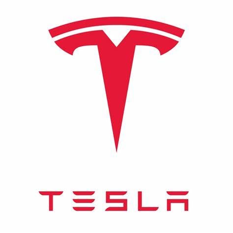 Ngày đầu tư của Tesla có thể là một trong những yếu tố khiến DOGE trở thành một trong số ít tiền điện tử có màu xanh lá cây